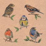 Lunch Napkin - Recycled Bird Species Nature