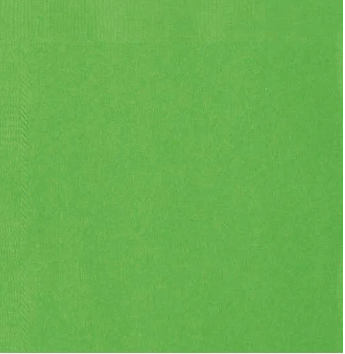 Cocktail Napkin - Solid Colour GREEN