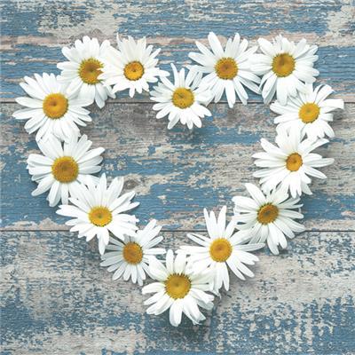 Lunch Napkin - Daisy Hearts on Old Wooden Background
