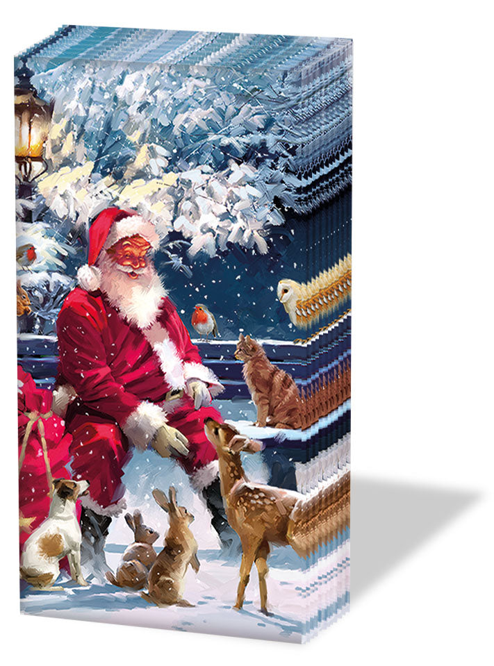Pocket Tissue - Santa on Bench