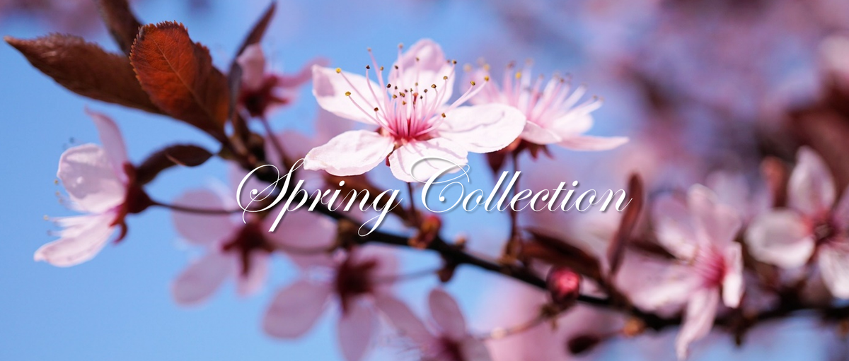 Spring Collection – Snow's Boutique