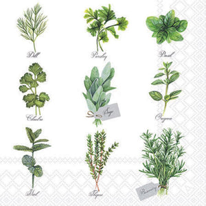 Cocktail Napkin - Herb Selection