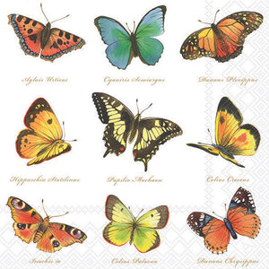 Lunch Napkin - Collection Of Butterflies