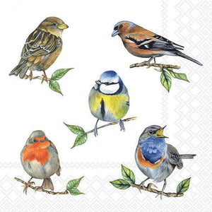 Lunch Napkin - Bird Species WHITE