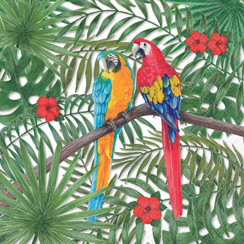 Lunch Napkin - Parrots