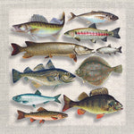 Lunch Napkin - Fish Variety