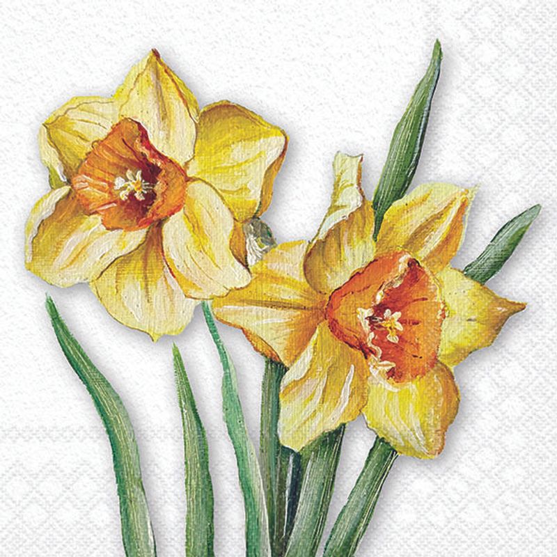 Lunch Napkin - Flowering Daffodils