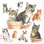 Lunch Napkin - Cute Kittens