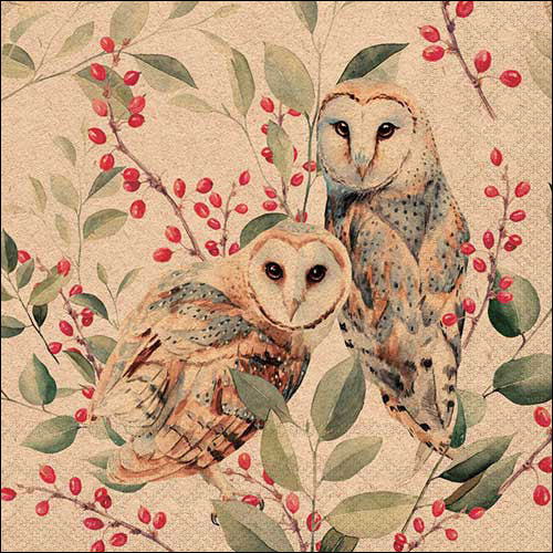 Lunch Napkin - Recycled Barn Owl Couple Nature