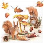 Lunch Napkin - Squirrels Go Nuts