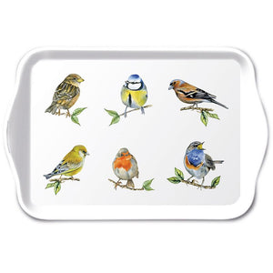 TRAY - Bird Species WHITE (13 x 21cm)