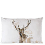 Cushion (Cover) - Antlers (30 x 50 CM)