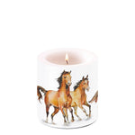 Candle SMALL - Wild Horses