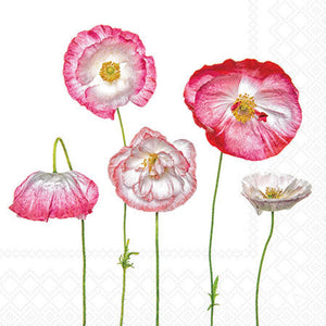 Cocktail Napkin - Pale Poppies