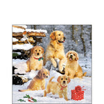 Cocktail Napkin - Golden Retriever Puppies