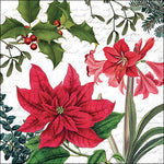 Lunch Napkin - Christmas Plants WHITE