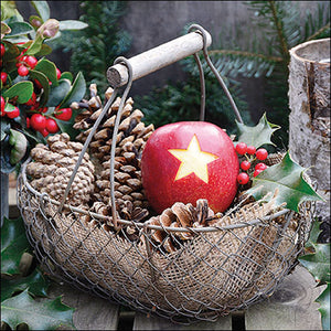 Lunch Napkin - Star apple