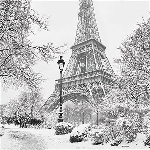 
                
                    Load image into Gallery viewer, Lunch Napkin - Winter in Paris
                
            