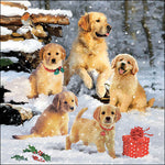 Lunch Napkin - Golden Retriever Puppies