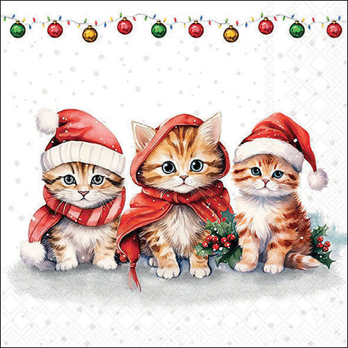 Lunch Napkin - Funny Cute Kittens