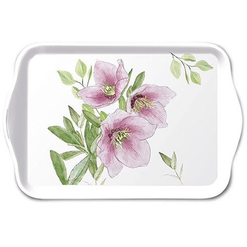 
                
                    Load image into Gallery viewer, TRAY - Classic helleborus (13 x 21cm)
                
            
