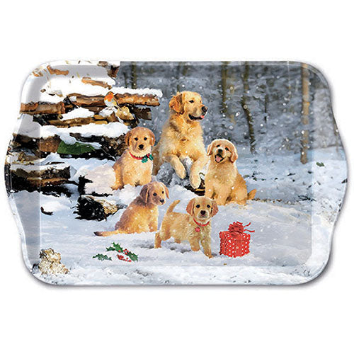 TRAY - Golden Retriever Puppies (13 x 21cm)