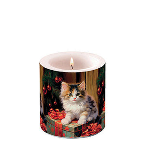 Candle SMALL - Molly