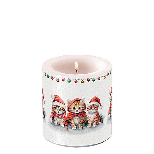 Candle SMALL - Funny Cute Kittens