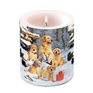 Candle MEDIUM - Golden Retriever Puppies