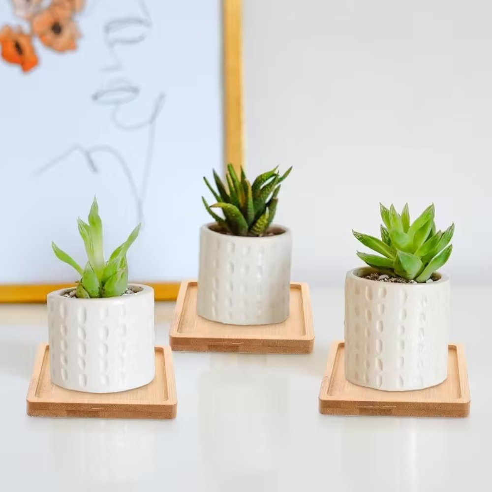 Coaster - Bamboo Set SQUARE