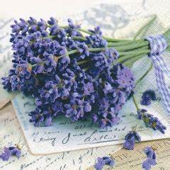 Lunch Napkin - Lavender Greetings