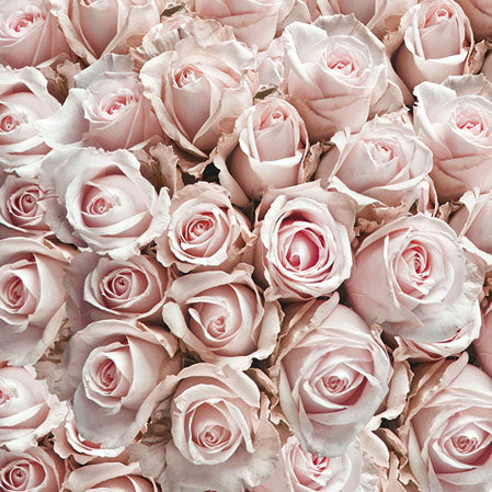 
                
                    Load image into Gallery viewer, Cocktail Napkin - Pastel Roses
                
            
