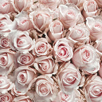 Cocktail Napkin - Pastel Roses
