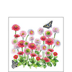 Serviette Cocktail - Bellis