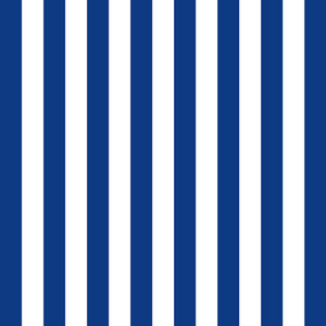 Lunch Napkin - Stripes Navy Blue