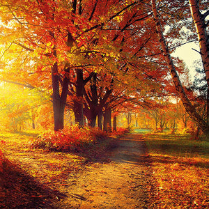 Serviette de table - Parc d'Automne