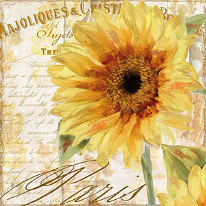 
                
                    Load image into Gallery viewer, Lunch Napkin - Tournesol
                
            