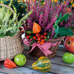 Lunch Napkin - Heather Baskets