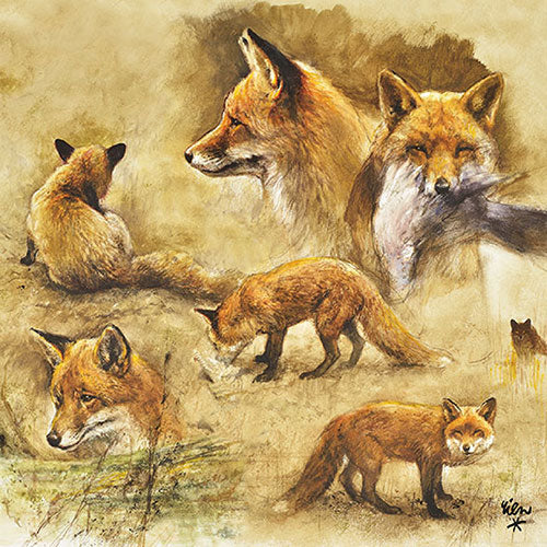 Lunch Napkin - Portraits Of Foxes