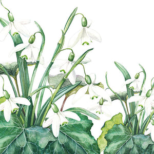 
                
                    Load image into Gallery viewer, Lunch Napkin - Snowdrops WHITE
                
            