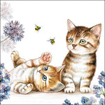 Lunch Napkin - Cats and Bees