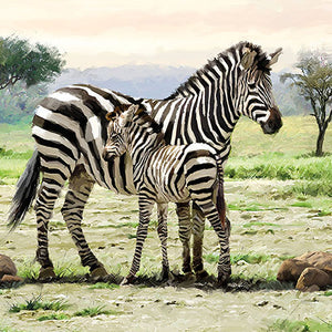 Lunch Napkin - Zebras