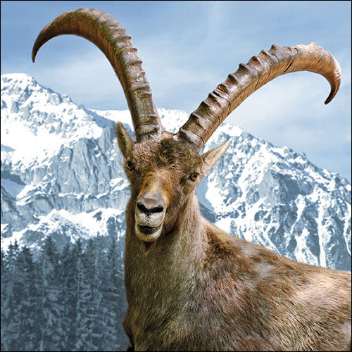 
                
                    Load image into Gallery viewer, Lunch Napkin - Capra Ibex
                
            