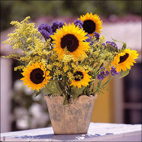 Lunch Napkin - Sunflower Bouquet