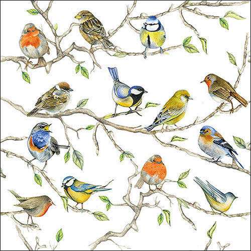 Serviette de table - Rencontre d'Oiseaux