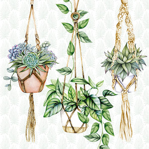 Lunch Napkin - Hanging Plants