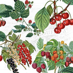 Lunch Napkin - Fresh Fruits