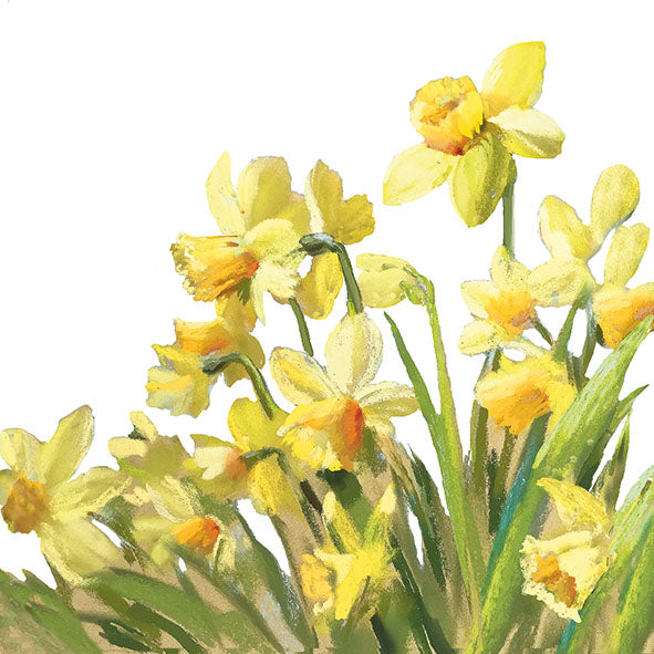 Lunch Napkin - Golden Daffodils