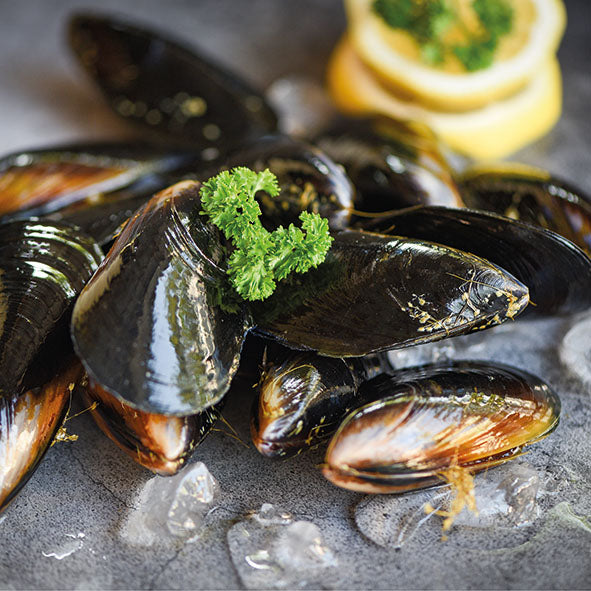 Serviette à lunch - Moules