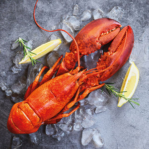 
                
                    Load image into Gallery viewer, Lunch Napkin - Fresh Lobster
                
            